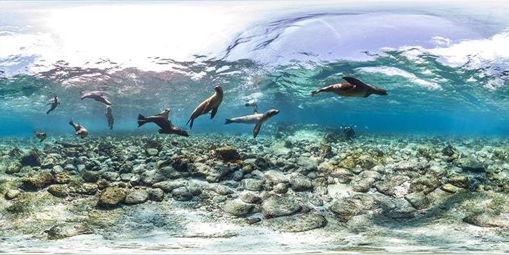 07-galapagos-min.jpg