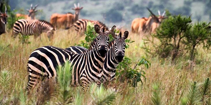 07-rwanda-min.jpg